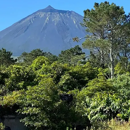 Casa 3 Picos 1 Дом отдыха *