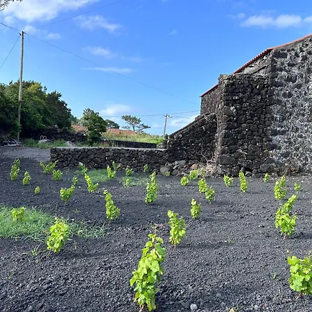 Дом отдыха Casa 3 Picos 1 Сан-Роки-ду-Пику