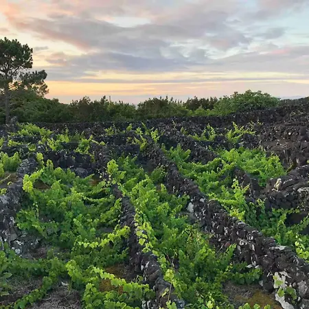 Casa 3 Picos 1 Дом отдыха