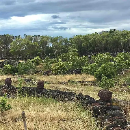 Casa 3 Picos 1 Дом отдыха Сан-Роки-ду-Пику