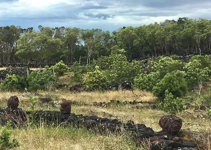 Casa 3 Picos 1 Casa vacanze São Roque do Pico