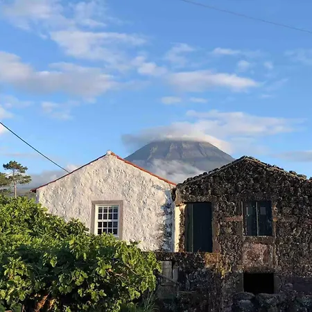 Holiday home Casa 3 Picos 1 Sao Roque do Pico